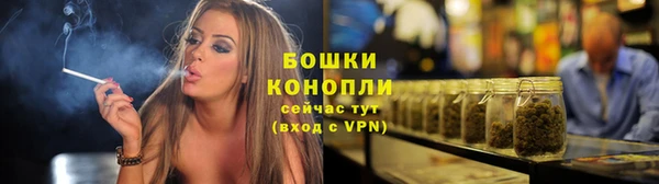крисы Переславль-Залесский