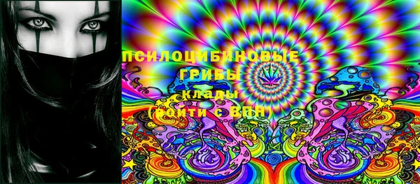крисы Переславль-Залесский